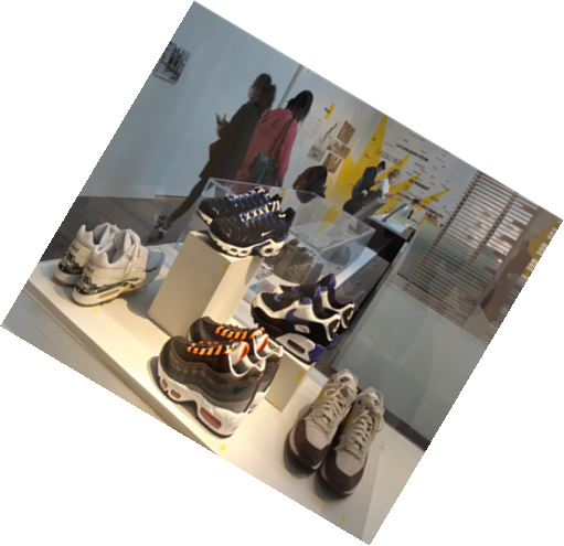 Musée de l’Homme et Expo Sneakers
